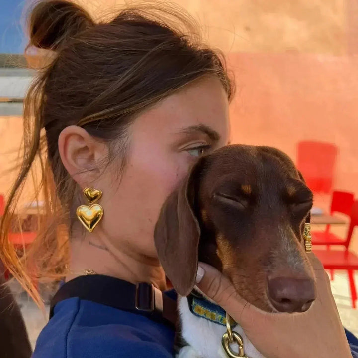 Pasélia | Orecchini a perno a doppio cuore romantico